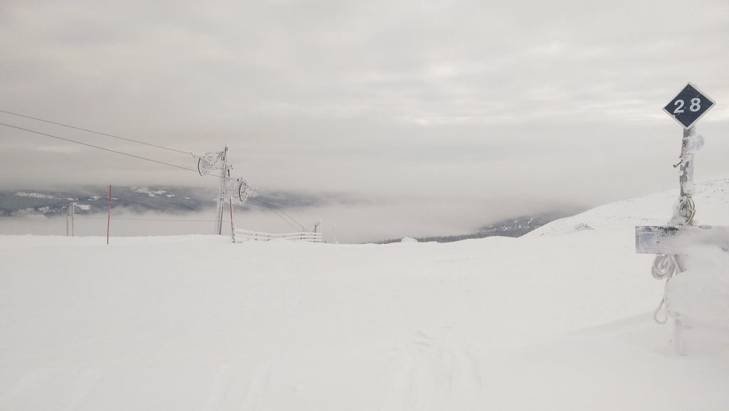 Ski Trail Norway
