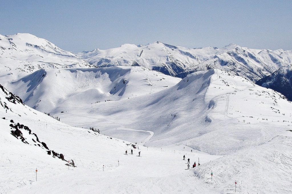 blackcomb