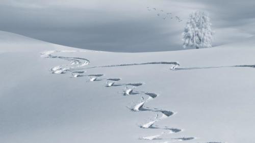 Ski slope for Clark Weeks' Ski Vacation Destinations